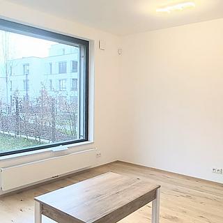Pronájem bytu 2+kk 46 m² Praha Nusle, Závišova