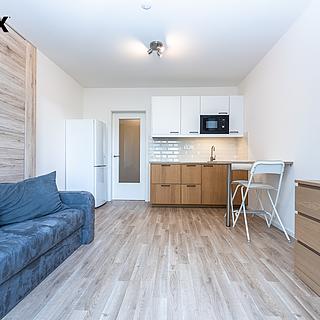 Pronájem bytu 1+kk a garsoniéry 25 m² Praha Libeň, Novovysočanská