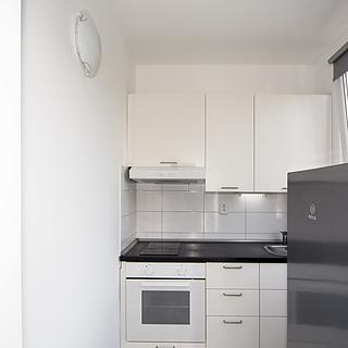 Pronájem bytu 1+kk a garsoniéry 30 m² Praha Modřany, Angelovova