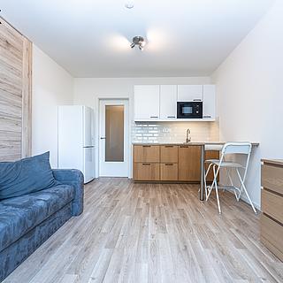 Pronájem bytu 1+kk, garsoniery 25 m&sup2; Praha