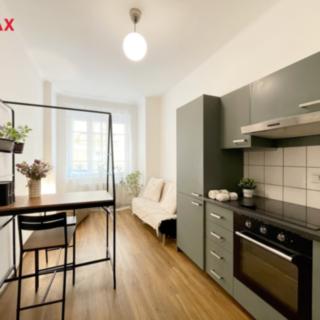 Pronájem bytu 1+1 48 m² Praha