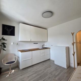 Pronájem bytu 1+kk, garsoniery 24 m² Praha