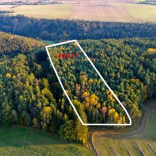 Prodej lesa 35057 m² Všehrdy