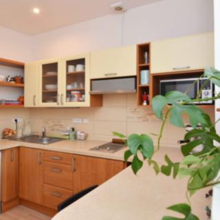 Pronájem bytu 1+1 42 m² Praha Košíře, Pod Kavalírkou