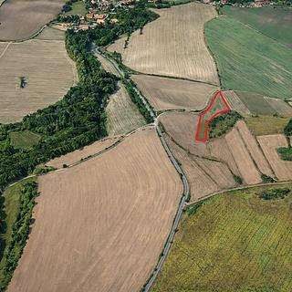 Prodej zemědělské půdy 6 121 m² Číčovice