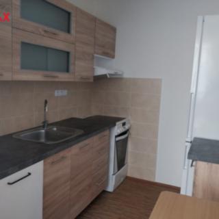 Pronájem bytu 1+kk a garsoniéry 36 m² Březnice, Dolní Valy