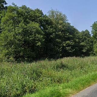 Prodej ostatního pozemku 3 228 m² Králíky Horní Lipka