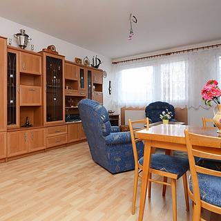 Prodej bytu 2+kk 55 m² Tábor Čekanice, Fibichova
