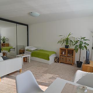 Pronájem bytu 1+kk a garsoniéry 37 m² Praha Zbraslav, Tunelářů