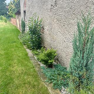 Prodej rodinného domu 130 m² Čistá, Tyršova