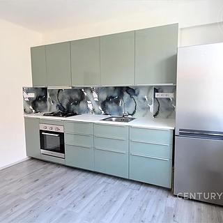 Pronájem bytu 1+1 40 m² Praha Břevnov, Břevnovská