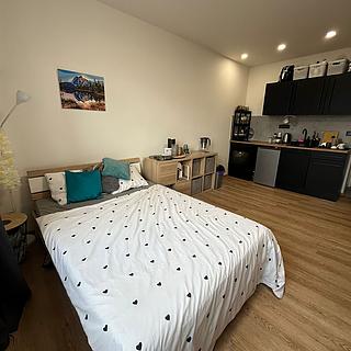 Pronájem bytu 1+kk a garsoniéry 30 m² Praha Vinohrady, Soběslavská