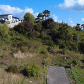Prodej stavební parcely 893 m² Králův Dvůr