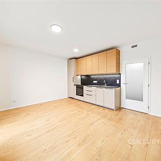 Pronájem bytu 1+kk a garsoniéry 34 m² Praha Strašnice, Strančická