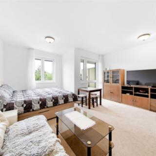 Pronájem bytu 1+kk, garsoniery 45 m² Praha