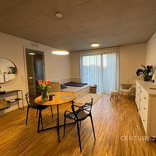 Pronájem bytu 1+kk, garsoniery 29 m&sup2; Praha