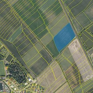 Prodej zemědělské půdy 30088 m&sup2; Sokoleč