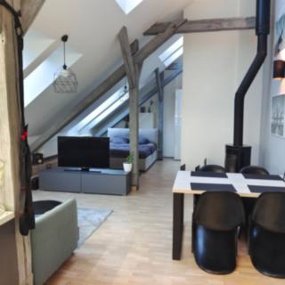 Pronájem bytu 1+kk a garsoniéry 61 m² Praha Libeň, Zenklova