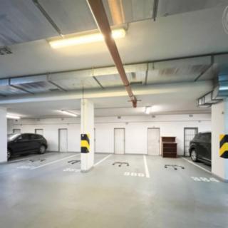 Pronájem parkovacího místa 13 m² Praha Dejvice, Paťanka