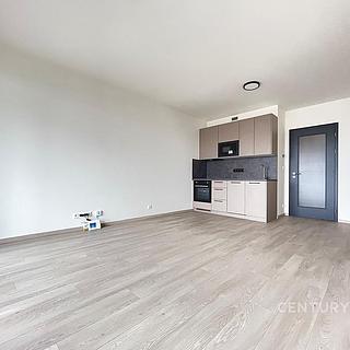 Pronájem bytu 1+kk, garsoniery 33 m&sup2; Praha