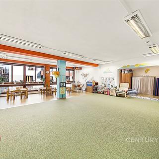 Prodej Ostatních komerčních prostor 240 m&sup2; Praha