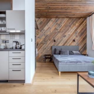Pronájem ostatního komerčního prostoru 31 m² Bedřichov