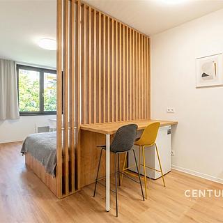 Prodej bytu 1+kk a garsoniéry 28 m² Praha Břevnov, Na Větrníku
