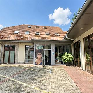 Prodej ostatního komerčního prostoru 758 m² Brno Komín, Hlavní