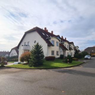 Pronájem bytu 2+1 46 m² Bílovice nad Svitavou