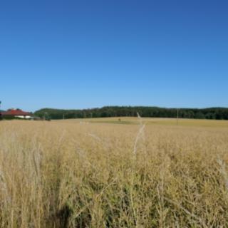 Prodej zemědělské půdy 186 236 m² Rybníky