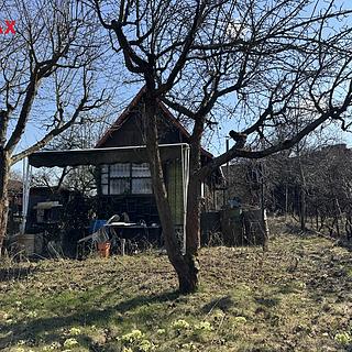 Pronájem chaty 30 m&sup2; Olomouc