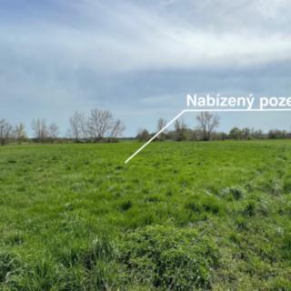 Prodej ostatního pozemku 4 547 m² Olomouc Chomoutov