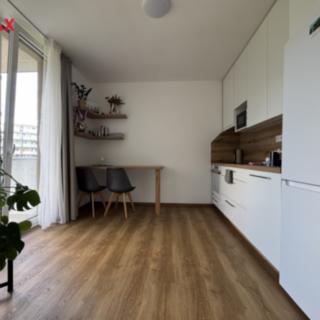 Pronájem bytu 1+kk a garsoniéry 27 m² Olomouc, Camilla Sitteho