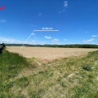 Prodej zemědělské půdy 10 206 m² Dolany