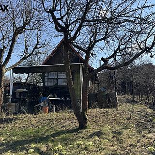 Pronájem chaty 30 m² Olomouc Slavonín