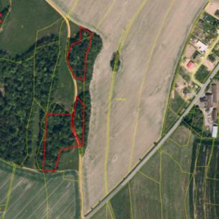 Prodej lesa 25 088 m² Spálov