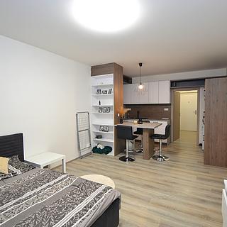 Pronájem bytu 1+kk a garsoniéry 33 m² Olomouc Řepčín, Aloise Rašína