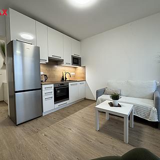 Pronájem bytu 1+kk a garsoniéry 32 m² Olomouc, Camilla Sitteho
