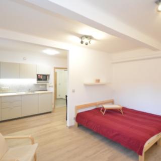 Pronájem bytu 1+kk a garsoniéry 34 m² Olomouc Nová Ulice, Marie Pospíšilové