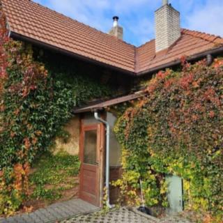 Pronájem rodinného domu 96 m² Opava Kylešovice, Hlavní