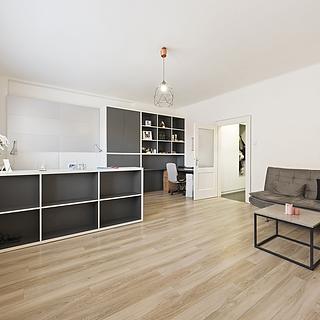 Prodej bytu 1+1 45 m² Praha Holešovice, Osadní