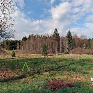 Prodej louky 13899 m&sup2; Přední Výtoň