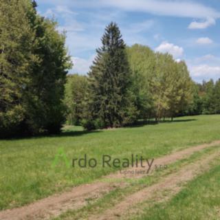 Prodej louky 23 943 m² Přední Výtoň, Frýdava