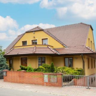Prodej rodinného domu 420 m² Pavlov, Družstevní