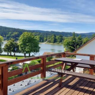 Prodej rodinného domu 350 m² Frymburk