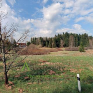 Prodej ostatního pozemku 13 889 m² Přední Výtoň