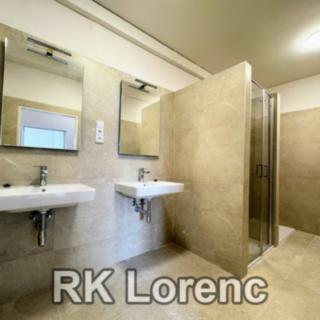 Pronájem bytu 5+1 a více 150 m² Brno, Špitálka