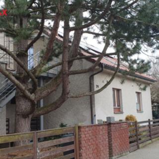 Pronájem bytu 1+kk a garsoniéry 75 m² Pardubice Dražkovice