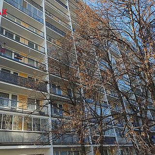 Pronájem bytu 1+kk a garsoniéry 30 m² Pardubice Polabiny, Družby