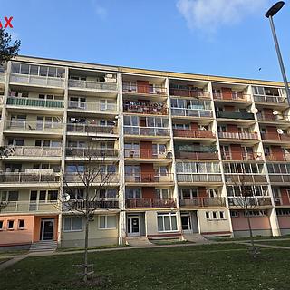 Pronájem bytu 1+kk a garsoniéry 28 m² Pardubice Polabiny, Bělehradská